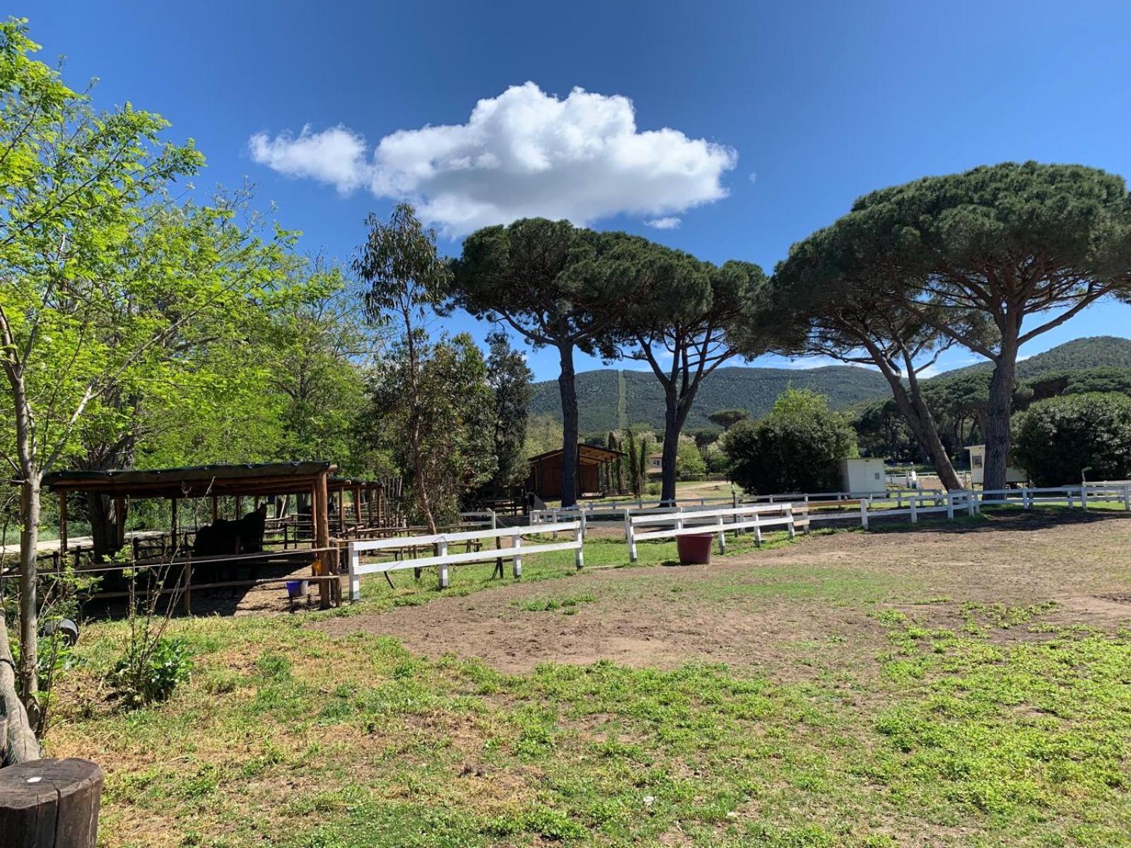 La Casa Delle Stelle Apartment Tirli Exterior foto